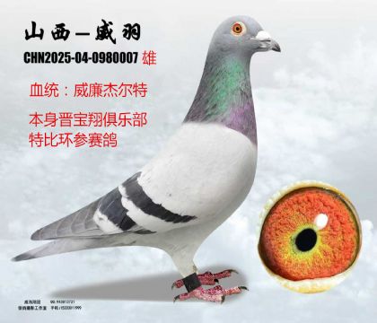 �x�����ر������ܠ���