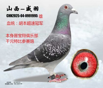 �ΈA��ǧԪ�رȳ��ٹ�܊��������