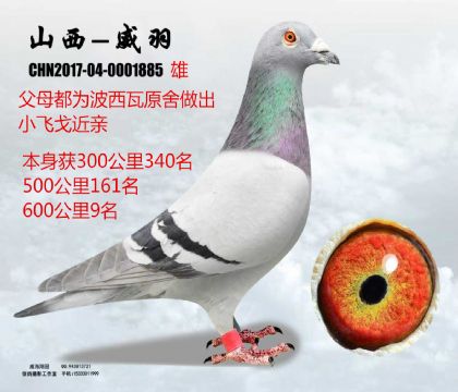 600����9��������ԭ������С�w����H