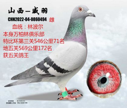 �f�������P(gu��n)�����ֲ���