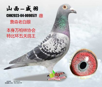 �f�������P(gu��n)����ղɭ�ϰ���