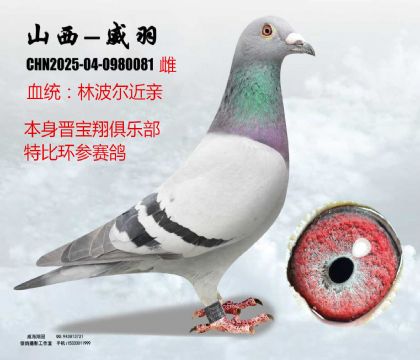 �x�����رȭh(hu��n)�ֲ���