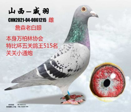 �P(gu��n)�P(gu��n)ͨ���f�������P(gu��n)����ղɭ�ϰ���