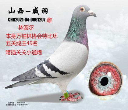 �P(gu��n)�P(gu��n)ͨ���f�������P(gu��n)����49���ֲ���