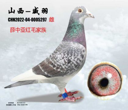 Ѧ�Ё��të���H