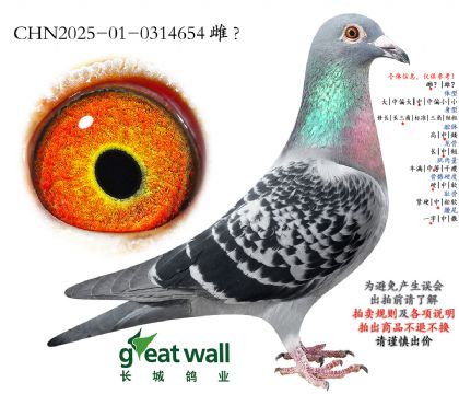 2.׿��Qِ24���Ӵ�.0314654