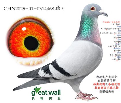 4.�_�e�O��.0314468