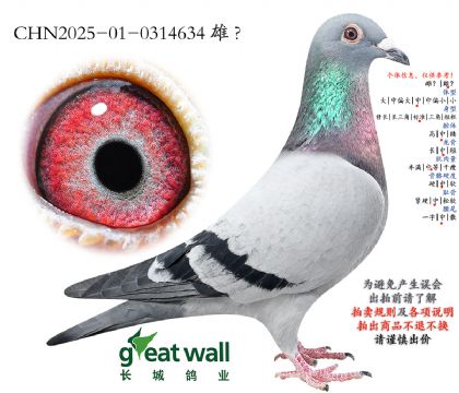 6.�_���߶��O��.0314634