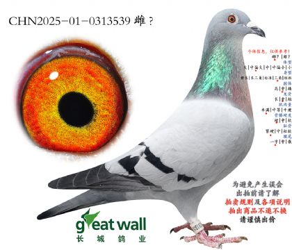 10.���\�p�P(gu��n)��܊�Ӵ�.0313539