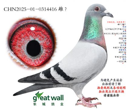 8.���ؠ�x����̖Ѫϵ.0314416