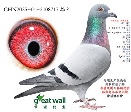 11.���ؠ�x���r��.2008717