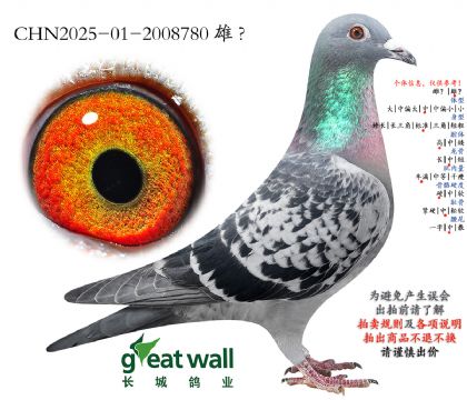 13.�����_(d��)900�O��.2008780