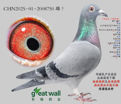 12.�¸��׵όO��.2008750