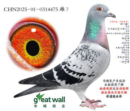 14.�����rС��ȫ���Ӵ�.0314475