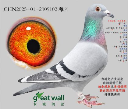 16.С����445�O��.2009102