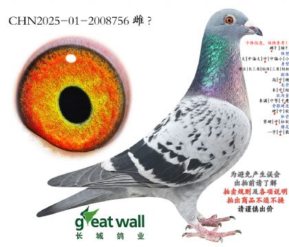 17.�����O��.2008756