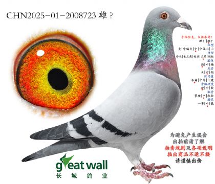 18.���r��x�o�޿���.2008723