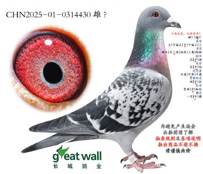 20.�_��(chu��ng)�C�ρ�܊��ƽ݅.0314430