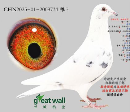 19.�D��˹���ؽ�Ѫ.2008734