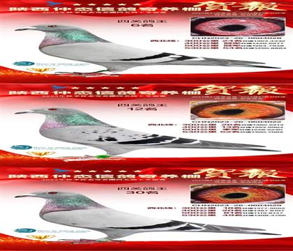 �Ϸ�7��ֱ�O