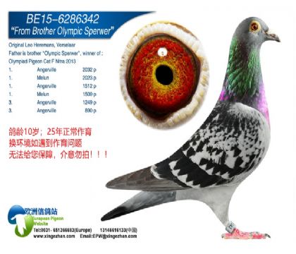 ���Wԭ�ᡰ����ȫ�ܡ�������Ů����-6286342