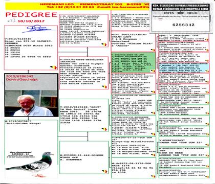 ԭʼѪ�y(t��ng)��