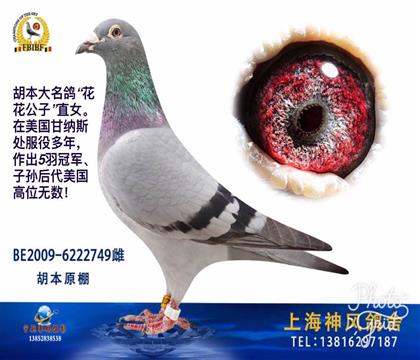 ����-����