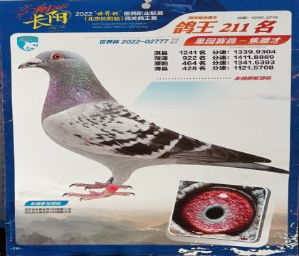 北京長(zhǎng)陽國(guó)際-世界杯四關(guān)綜合211名 雄