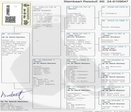 原始血統(tǒng)書(shū)