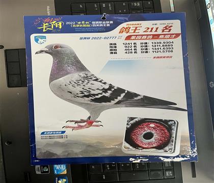 ��Ƭ�S���l(f��)��