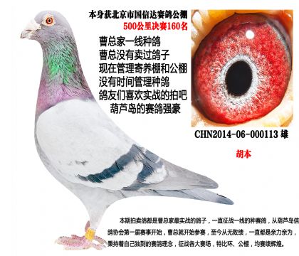 ���������_(d��)����Qِ160��