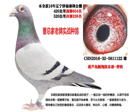 �|����ِ������Qِ238���������N�ۣ�