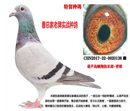 2017�곬���N������������l(f��)�]