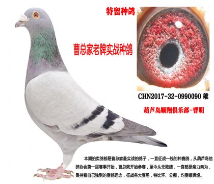 2017�����ƌ���(zh��n)�N������������l(f��)�]