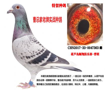 2017�ꌍ��(zh��n)�N������������l(f��)�]