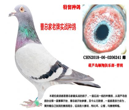 2018�������N�������ƌ���(zh��n)�N��