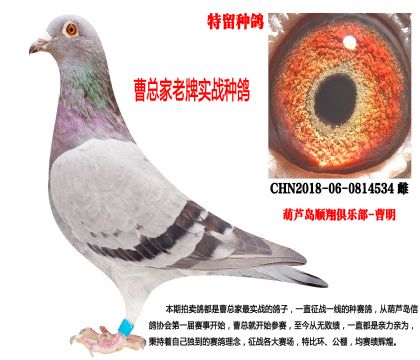 2018�������N��������(zh��n)����