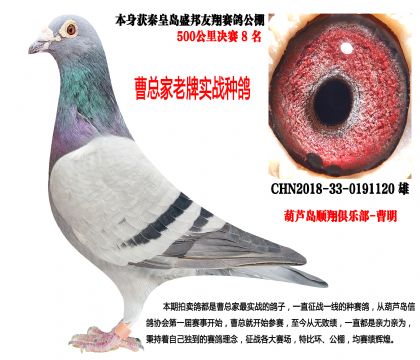 ʢ�����蹫��Qِ8���������Nِ������������l(f��)�]��