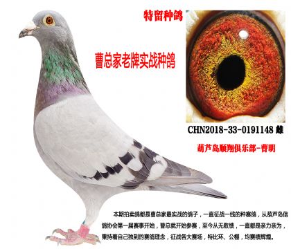 2018�������N������������