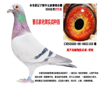 ����Ԫ̩����Qِ372�����c�����x�͹���ِͬ����