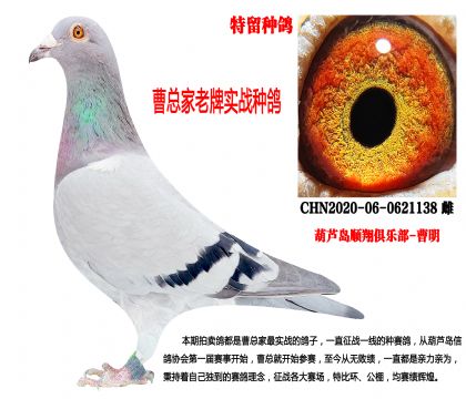 20�������N��������(zh��n)����