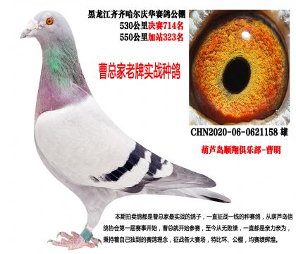 �������c�A����Qِ714������վ323��