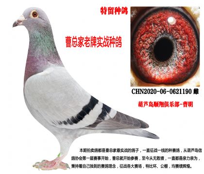 2020�������N���������N��