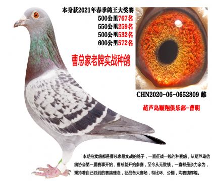 ���P(gu��n)�ɿ���