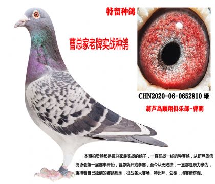 2020�������N��������(zh��n)�N��