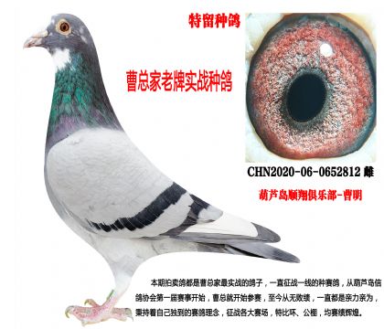 2020�������N�������ƌ���(zh��n)����