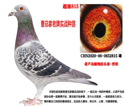 ����815����������l(f��)�]��20��N��