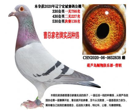 �|��������A(y��)ِ227�����Qِ138��