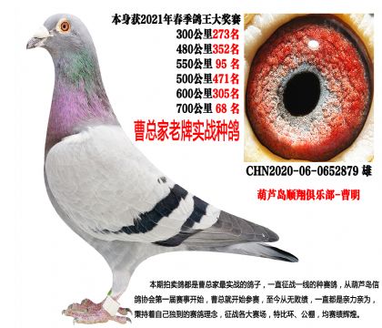 21��550����95����700����68�����߼��N��