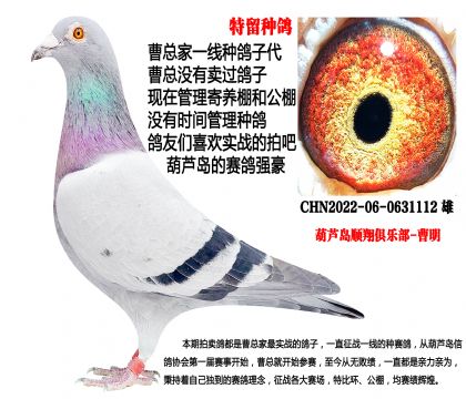 �������壬��h(hu��n)�N��